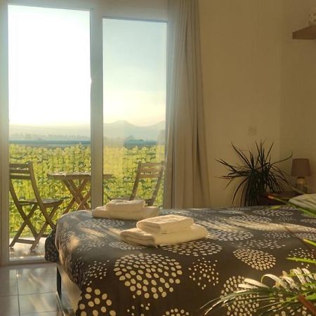 Thalassa Seaside Boutique Beach Apartment Polis المظهر الخارجي الصورة