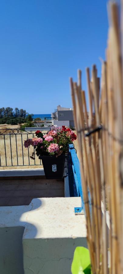 Thalassa Seaside Boutique Beach Apartment Polis المظهر الخارجي الصورة