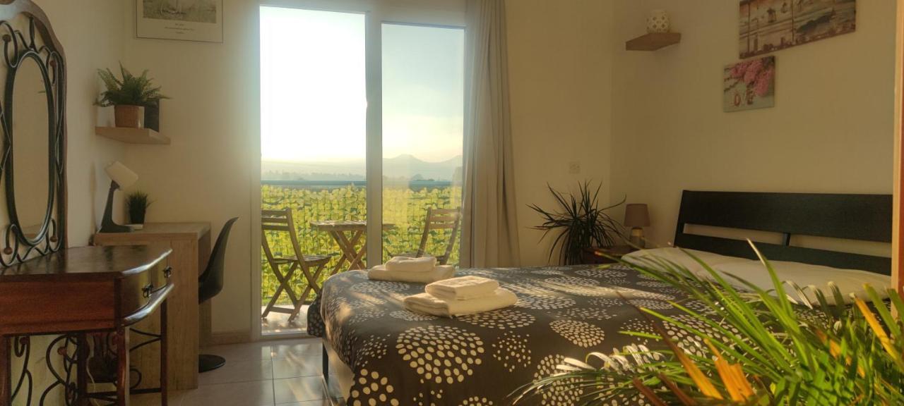 Thalassa Seaside Boutique Beach Apartment Polis المظهر الخارجي الصورة